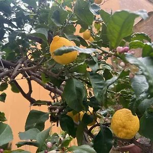Appartamento Vicino Al Mare, Moneglia